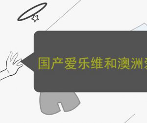 国产爱乐维和澳洲爱乐维哪个好 应该选哪一个