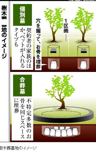 树葬有什么讲究,怎样选择地方 看上去还是挺可怕的