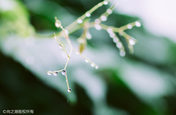 吴谨言在《守护丽人》中的丝袜造型引热议，个人资料背景简介一览