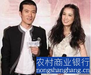 揭秘巨力集团杨子显赫家世，陶虹与其婚姻背后的家庭背景与照片展示