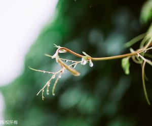 古代四大妖姬揭秘：美艳绝伦却心如蛇蝎的四位美女是谁？