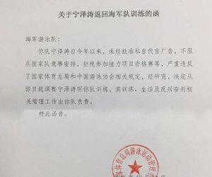 宁泽涛国家队开除背后：证据与内幕揭示，究竟谁导演了这一事件全程