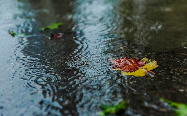 立秋雨下，是好是坏？老话说一场秋雨一场寒，温度将如何变化？