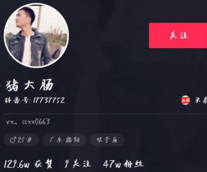 抖音猪大肠走红背后：揭秘创作者个人资料及完整版歌词魅力