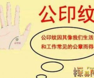 命理学解析：9种富贵手纹，揭示女性非富即贵的命运密码