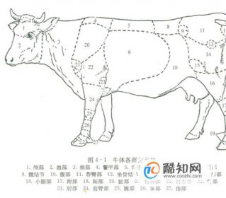 牛身上哈拉巴肉详解：所属部位及食材解析