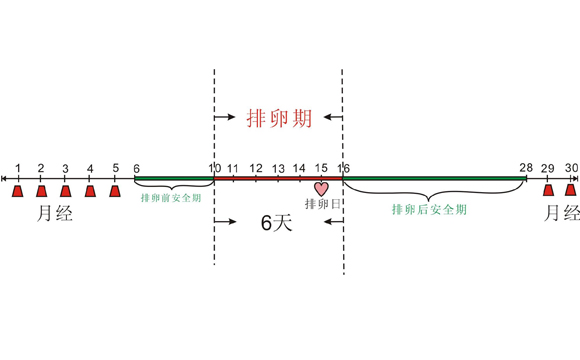 排卵期体温变化图 看完就明白