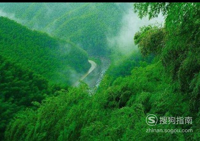 浙江安吉有哪些好玩的地方值得一去 具体教程