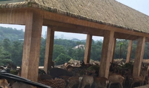 重庆野生动物园旅游攻略——乐和乐都 看完就明白