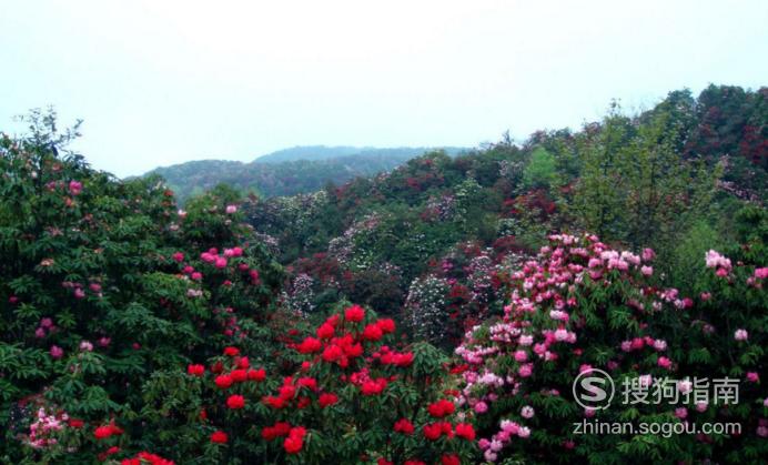 贵州旅游不得不去的八大景点，学到新方法了