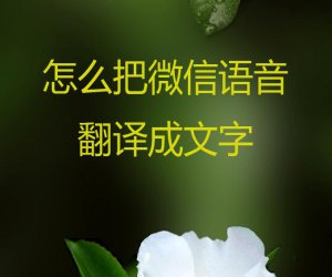 怎么把微信语音翻译成文字，达人写的经验